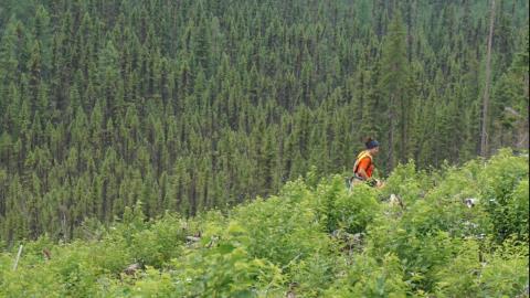 ReceiptHero aims to plant one million trees by 2025
